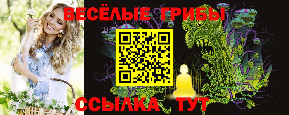 Псилоцибиновые грибы ЛСД Артёмовский